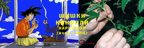 гашик Медвежьегорск