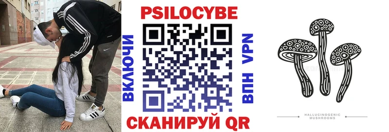 наркотики  Нижние Серги  Галлюциногенные грибы мицелий 